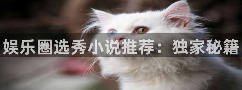 天辰娱乐官网下载