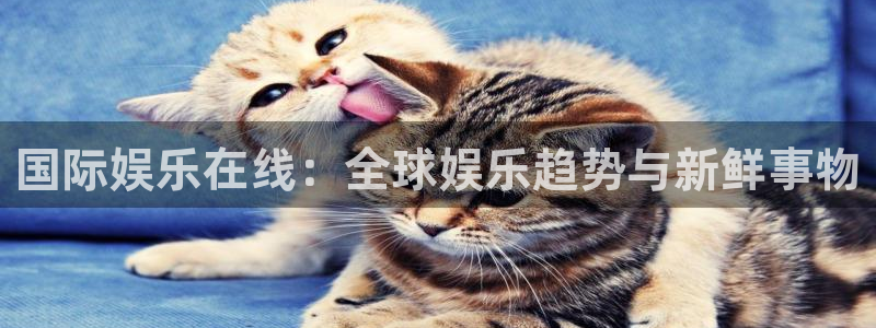 天辰娱乐网站平台登录