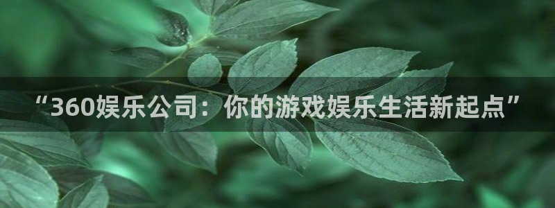 壹号官网app下载安装