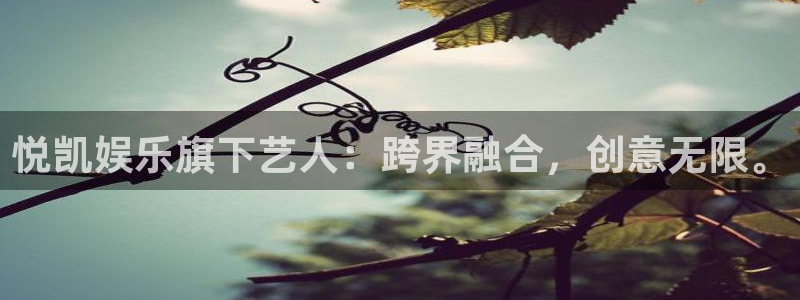 壹号电子娱乐app下载最新版本安装