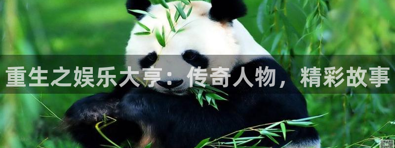 天辰娱乐pg电子游戏在线玩