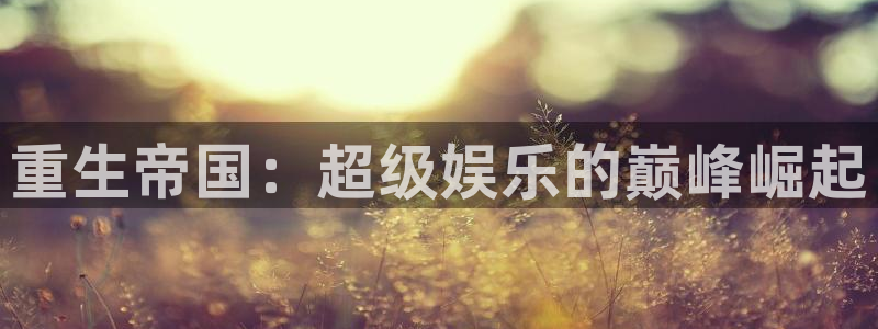 天辰娱乐电子游戏网页版