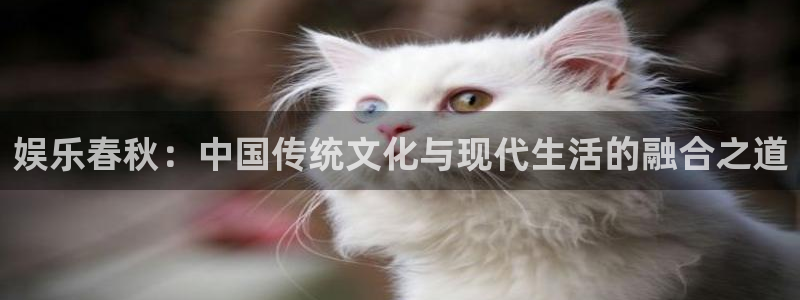天辰娱乐官网版下载链接