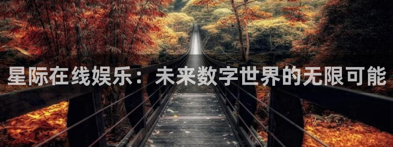 壹号app下载官方网站