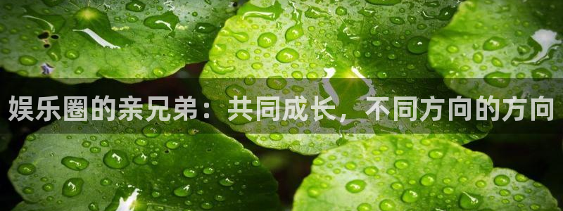 天辰娱乐.ccm官网版