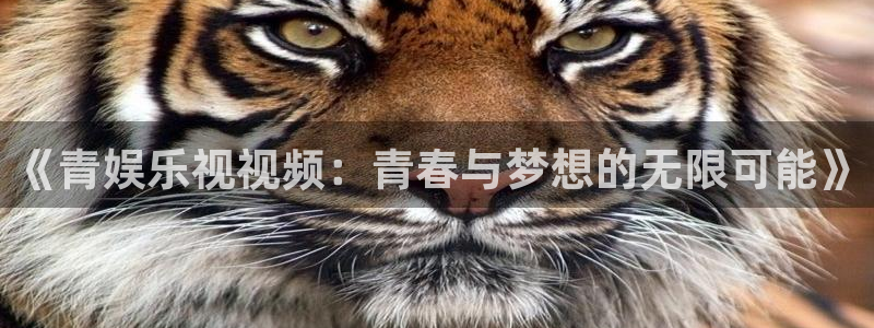 天辰娱乐官网入口：《青娱乐视视频：青春与梦想的无限可能》