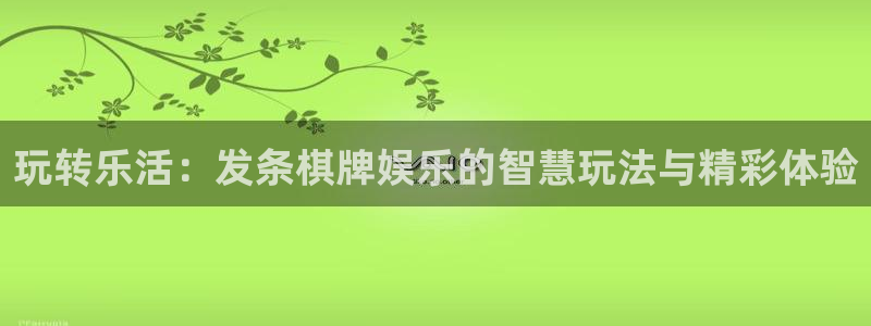 天辰娱乐是什么：玩转乐活：发条棋牌娱乐的智慧玩法与精彩体验