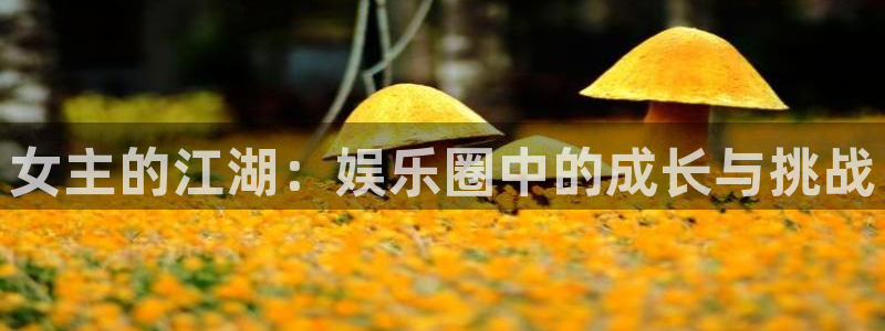 天辰娱乐是大平台吗