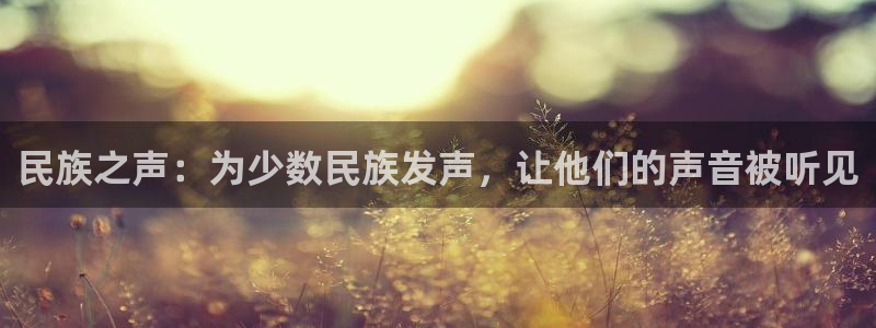 天辰娱乐分红代理计划