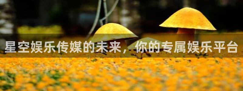 南宫天辰娱乐