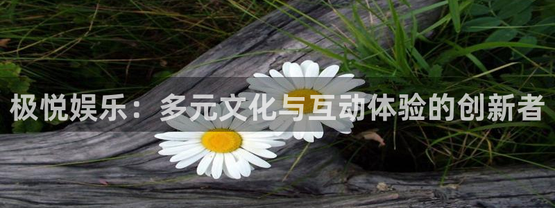 天辰娱乐平台登录入口