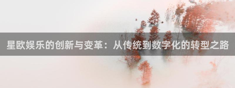天辰娱乐ccmpc：星欧娱乐的创新与变革：从传统到数字化的转型之路