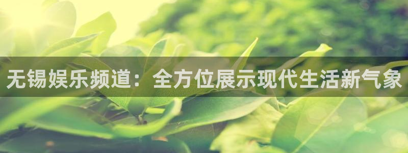 天辰娱乐app下载安装最新版