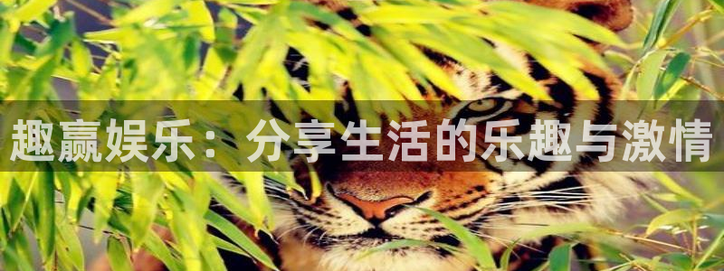天辰娱乐注册网站链接