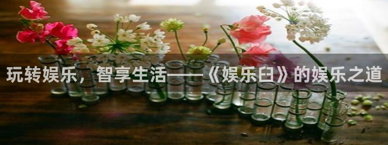 天辰娱乐平台官方入口