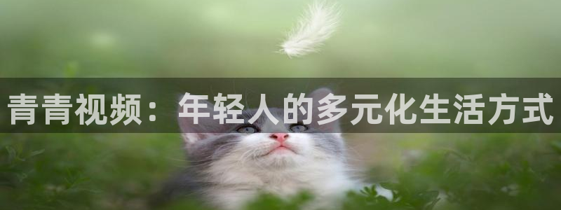 天辰娱乐app