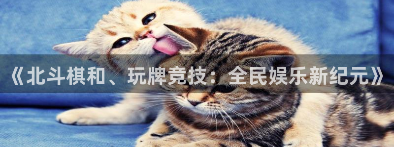 天辰娱乐-ng大舞台,有梦你就来