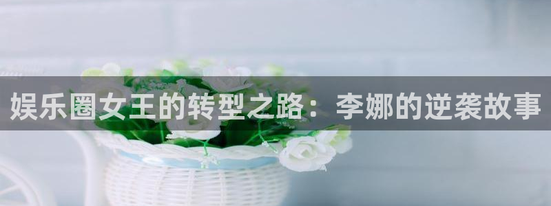天辰娱乐平台管网入口