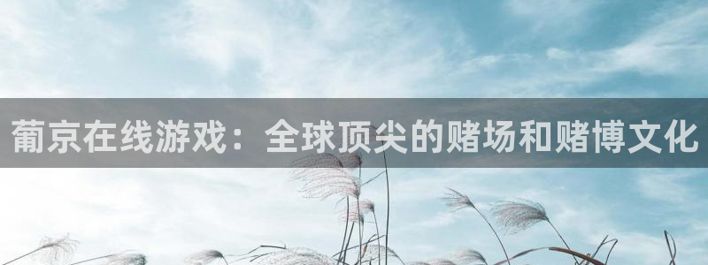 天辰娱乐平台官网版最新