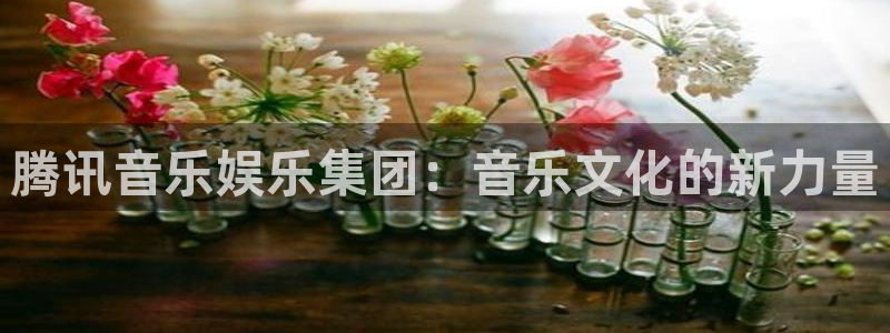 天辰娱乐充值怎么退款