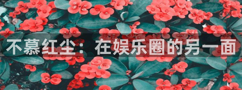 壹号app下载链接：不慕红尘：在娱乐圈的另一面